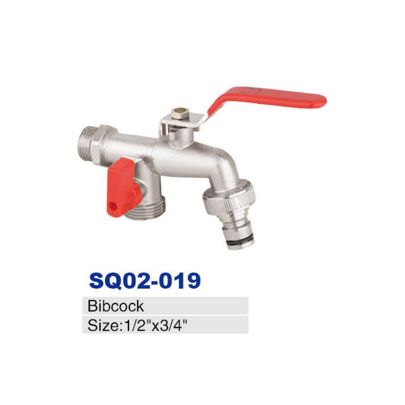 SQ02-019