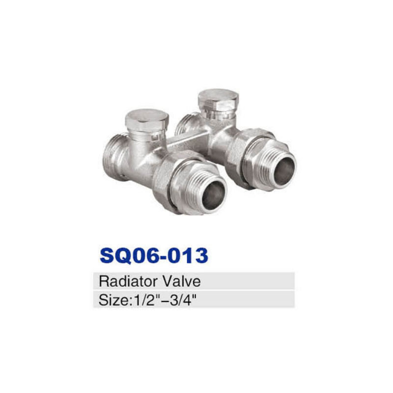 SQ06-013