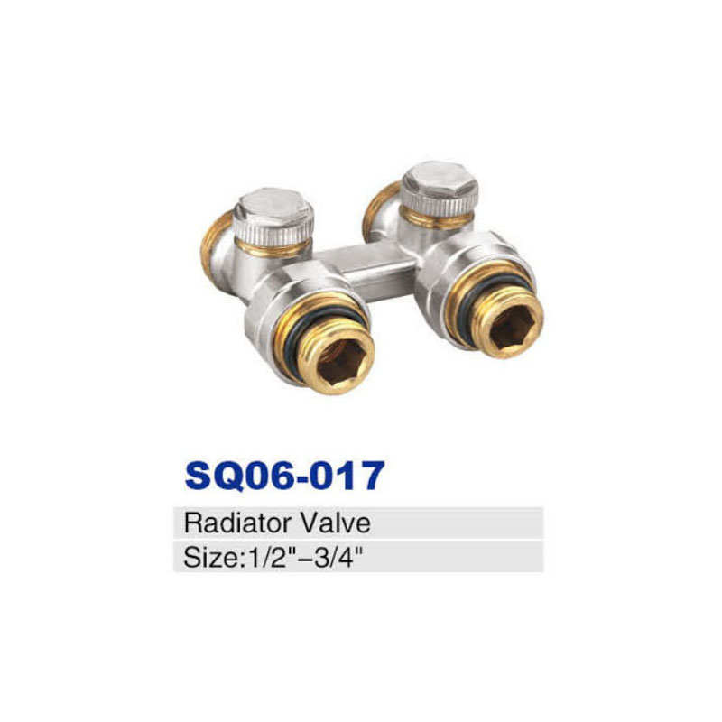 SQ06-017